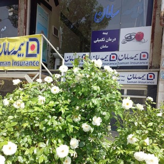 بیمه سامان نمایندگی 6138 (@si6138)