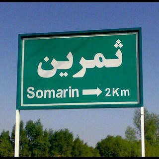 شیفتگان ثمرین (@somarin11)