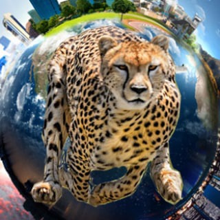 حیات وحش و شگفتیها (@wildlifechannal)