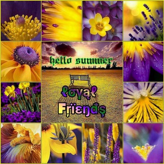 𝄞⃟💮 𝒍𝒐𝒚𝒂𝒍 𝒇𝒓𝒊𝒆𝒏𝒅𝒔 ༆▧݊⃟⃪࣭۪۪۪۪ۨ🥂
 (@joinchat/khu661rrb4zil-wwfktuig)