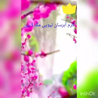 محصولات دکتر خوش رج ( برند مک لارین) (@khoshrejzp)