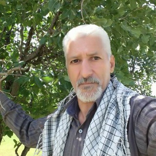 خاطرات صدای استاد زنده یاد نعمت کمالوند (@seda6892jooin)