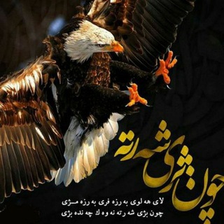 👈فیلم و آهنگ 👉 (@delshkawkan)