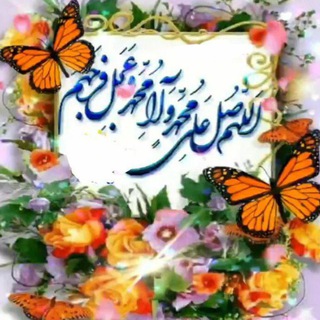 سلامت و سبک زندگی 🍀 (@tabib14)