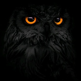 شعر (@osyane_del)