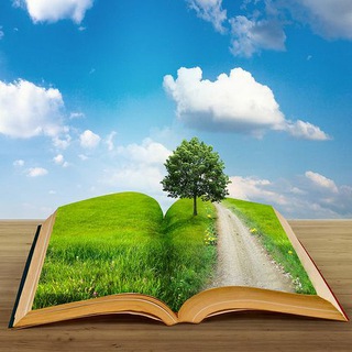 کلماتی برای زندگی (@wordsforlife)