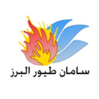 سامان طیور البرز (@samantoyor)