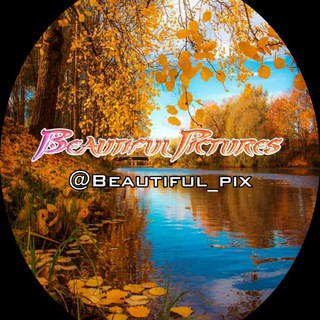 beautiful pictures (@beautiful_pix)