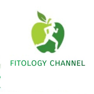 Fitology channel (@modernfitology)