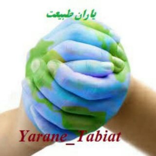 🍀یاران طبیعت♻ Yarane_Tabiat (@yarane_tabiat)