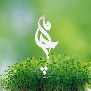 شعر و ادبیات چامه (@chaame)