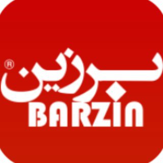 Barzin  -  برزین (@barzinchannel)