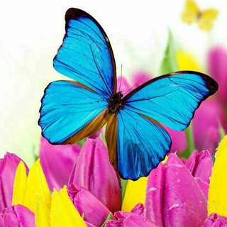 ترانه های شرقی (@stafsoon)