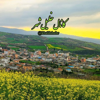 خلیل شهر (@khalilshahr)