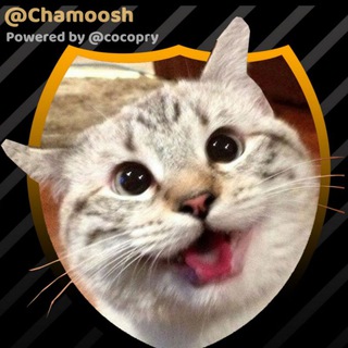 😻 چموش | Cute Cats (@chamoosh)