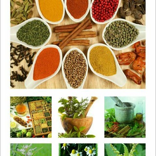 کانال تخصصی گیاهان دارویی (@medicinallyplants)