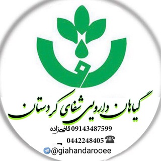 طب سنتی وگیاهان دارویی شفای کردستان (@giahandarooee)