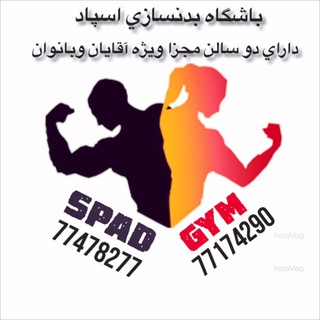 💪abbasi parsa👌 (@spadgymparsa)