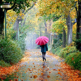 همه چی در هم (@ham3chidarham)