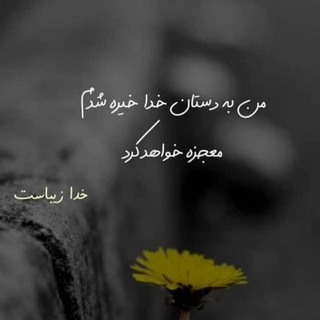 TEXT BZN🌺 (@just_love_u)