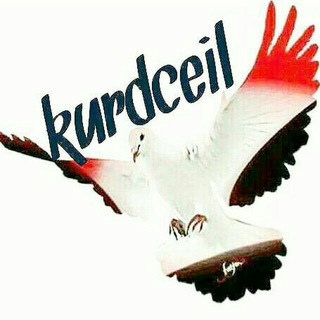 کوردسیل (@kurdceil)