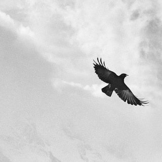 حرف‍ دل‍ (@gofteham)