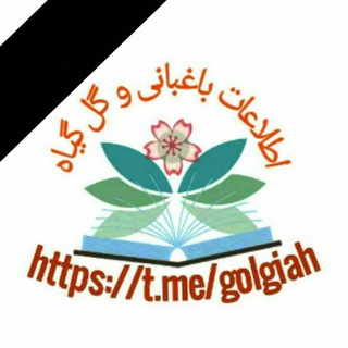 کانال اطلاعات باغبانی و گل گیاه (@golgiah)