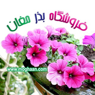 فروشگاه بذر مغان (@moghaan)