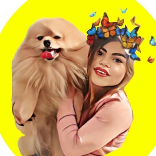 Pet_nasa (@peti_shop)