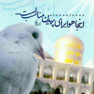 آسمان هشتم (@asemane8tom8)