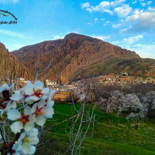 بهترینهای کرند (@behtarinhaykerend)