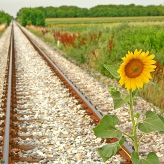 مجله گردشگری ریلی (@railgroupinfo)