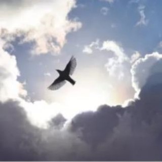 🕊پرواز خیال🕊 (@parkhial)