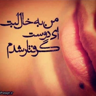 تک بیتی (@tak_beitee)