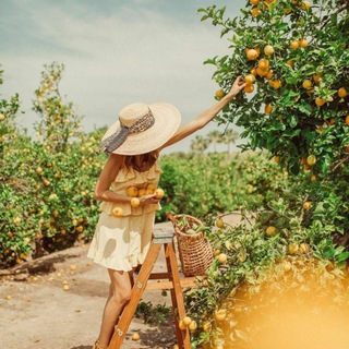 <بِـه ليـ🍋ـمو> (@behlimoland)