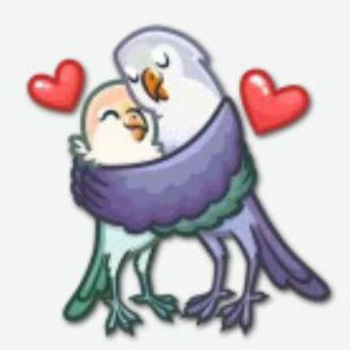 BestStickers (@besticker)