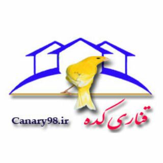 قناری کده (@canary98)