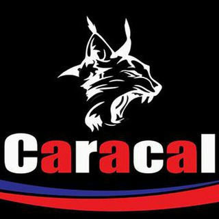 CaracalTuning (@caracaltuning)