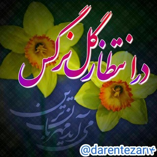 "در انتظار گل نرگس" (@darentezar14)