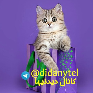 دیدنی (@didanytel)