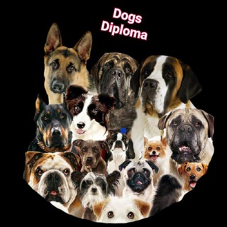 dogsdiploma (@dogsdiploma)