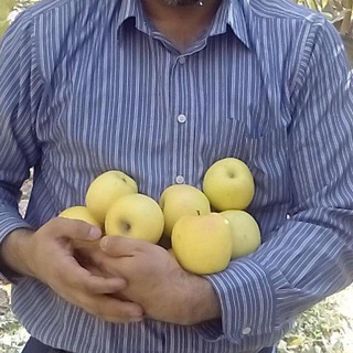 کانال فرنود (@farnodfm)
