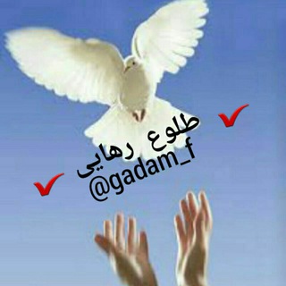 ✔ طلوع رهایی✔ (@gadam_f)