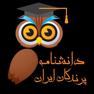 Iran Birds 🦉 (@iranbirds)