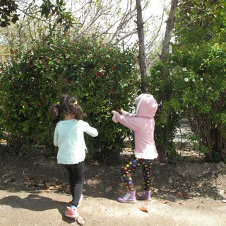 Kavikonj; NatureSchool (@kavikonjnatureschool)
