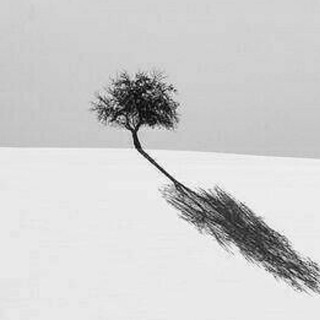 خاپورَه (@khapourah)