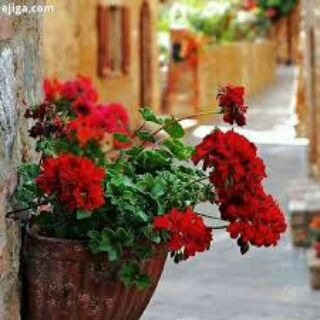 جهان زیبای ادبیات و موسیقی (@literatur0)