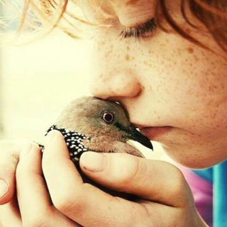 Animal lovers (@loveanimals)