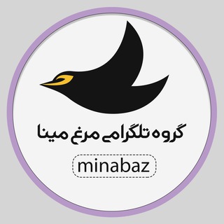 گروه تلگرامی مرغ مینا (@minabaz)