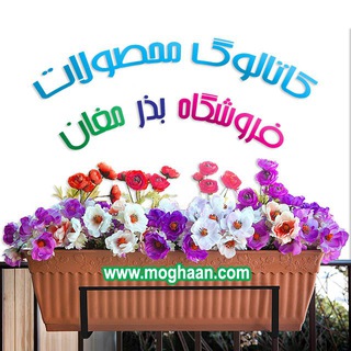 کاتالوگ فروشگاه بذر مغان (@moghaanshop)